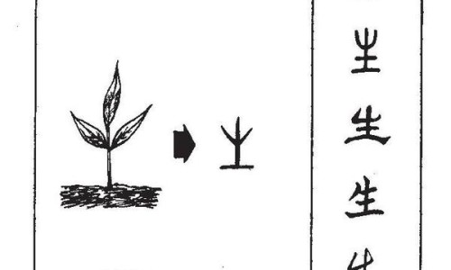 马甲线全身照-马甲线要求全身脂肪度网马甲线全身照知识网站,分享马甲线身材标准大全
