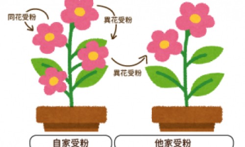 马甲线要求全身脂肪度网马甲线全身照知识网站,分享马甲线身材标准大全